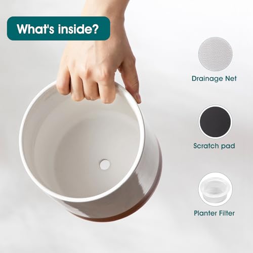 Ceramic Plant Pots (3 Count)