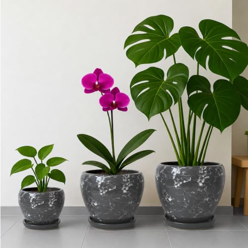 6 Inch Plant Pots (Gemstone Gray / 6 Inch)