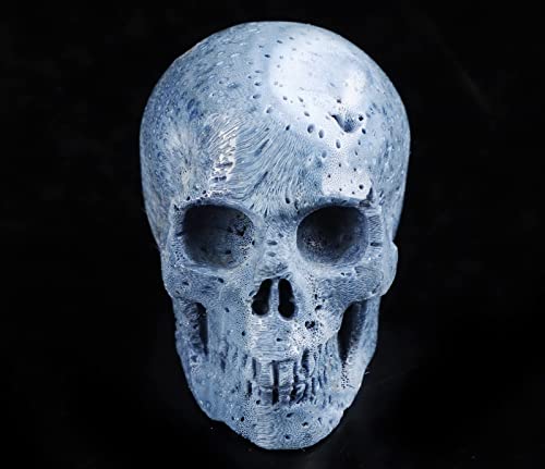 2.0" Blue Sponge Coral Crystal Skull (2.0" Blue Sponge Coral 7)