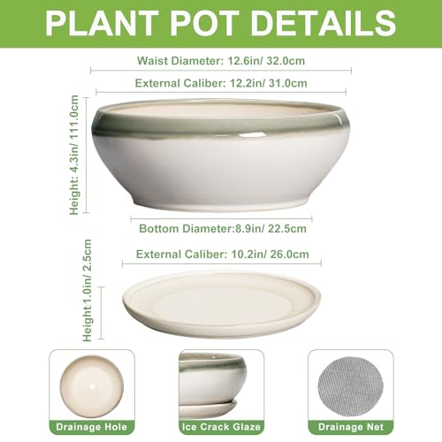 Large Succulent Planters (12 Inch / Grey-white)