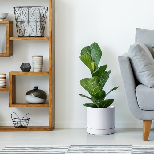 8 Inch Planter Pot with Drainage Hole & Saucer