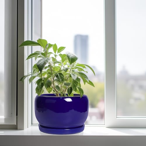 Ceramic Plant Pot