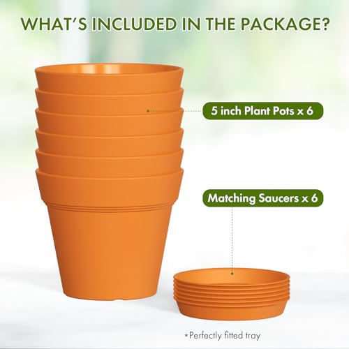 5 Inch Plastic Plant Pots with Drainage Holes and Trays (6 Count)