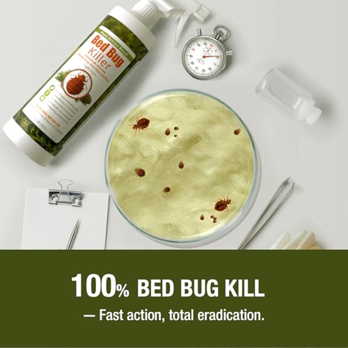 Bed Bug Killer 3 oz EcoVenger by EcoRaider (3 Ounce)