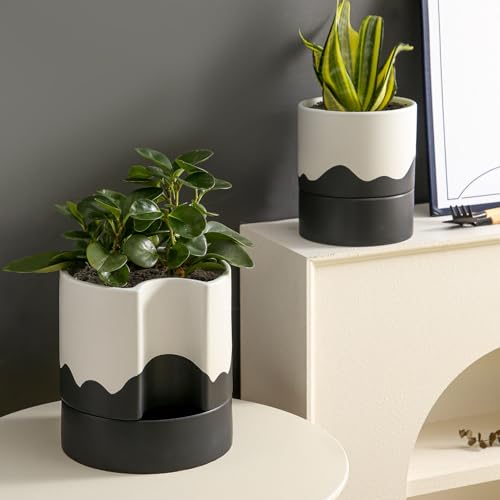 Self Watering Plant Pot