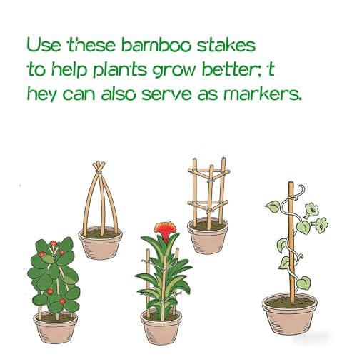 60 Pack 3FT Bamboo Plant Stakes (36 inch 8mm)