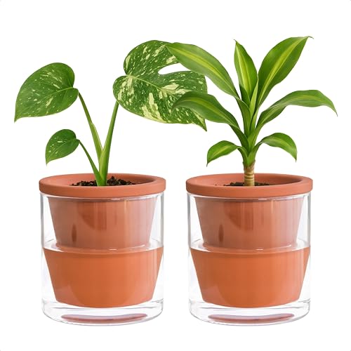 Self Watering Terracotta Planter Pot (2 Count)