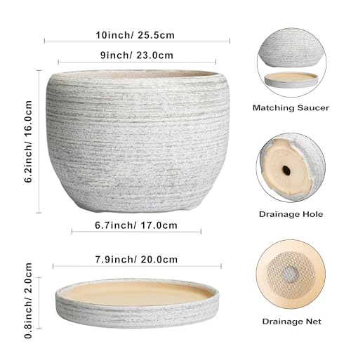 Ceramic Flower Pots