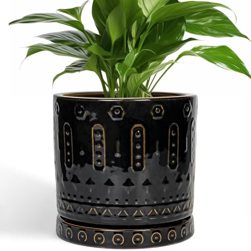 8 Inch Pots for Plants (8 Inch / Black - 2)
