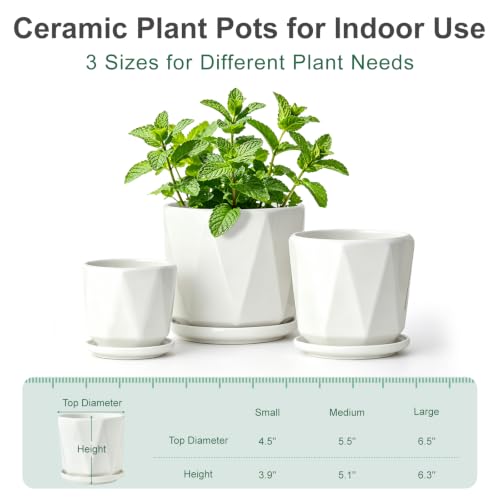 White Ceramic Planter Set of 3 with Drainage and Saucer (Pure White)