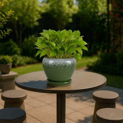 6 Inch Plant Pots (Blackish Green / 6 Inch)