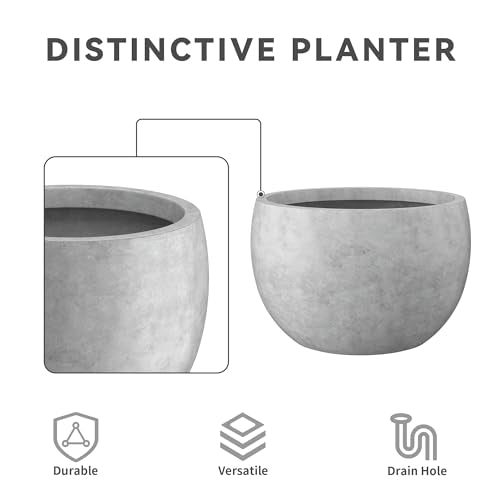 Small Round Bowl Pale Gray Concrete Planter 11.8" Dia (Natural Concrete / 11.8" d)