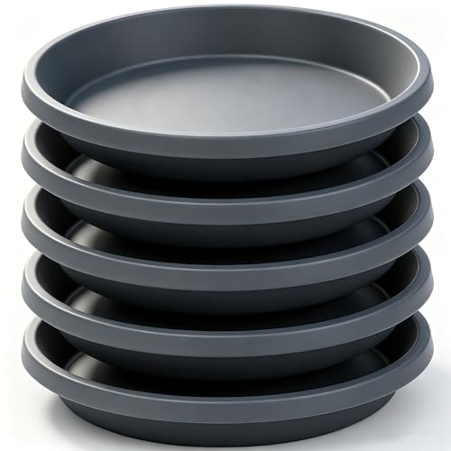 5 Pack Plant Saucer 6 Inch (6" (5 Pack) / Gray)