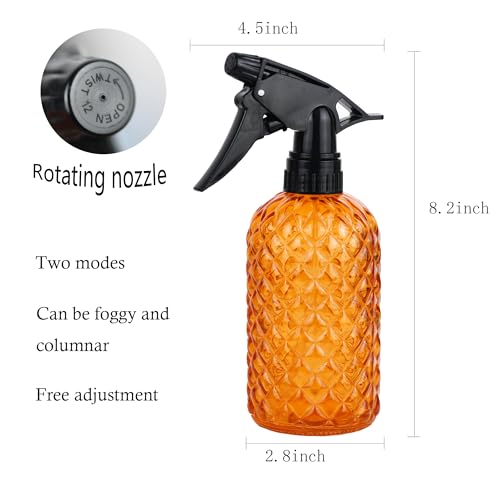 Glass Handheld Spray Bottle