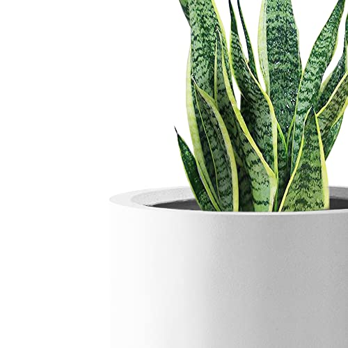 Small Round Cylinder White Concrete Planter 9.8" Tall (Pure White / 9.8" Dia)