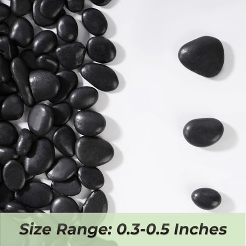 5 LB Black River Rocks (5 Pounds / Black)