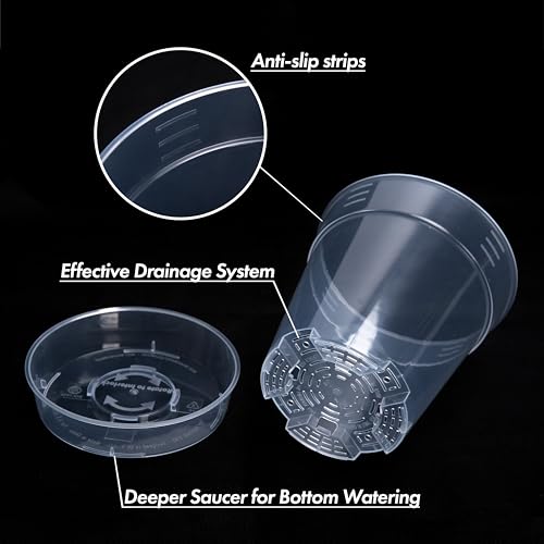 1 Gallon 6 Inch Clear Plastic Plant Pot with Drainage Holes (6.5" x 7")