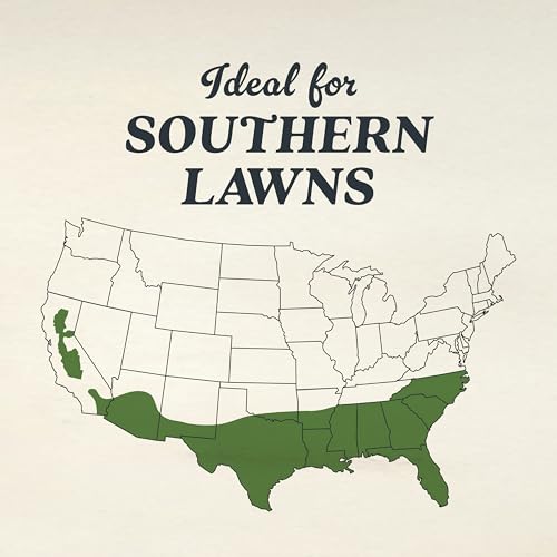 O.M. Scott & Sons Bermudagrass Grass Seed (1 Pack / Bermudagrass)