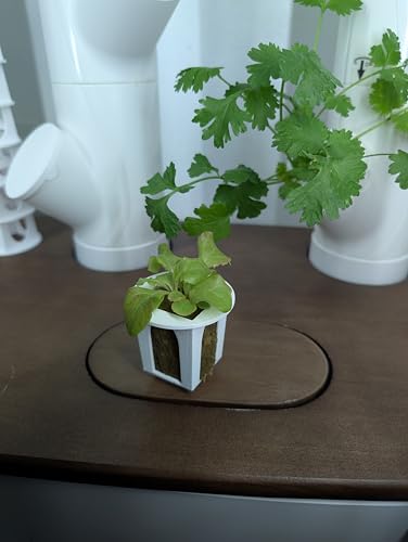 Grow Cubes for Hydroponic System (5 Count)