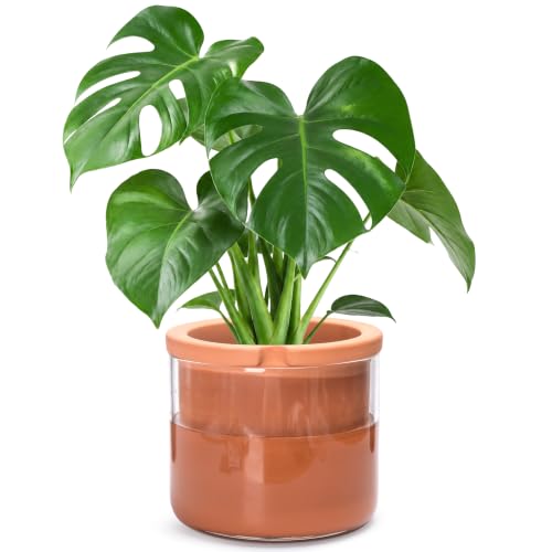 8 Inch Self Watering Planter (8" (1 Pack) / Terracotta)