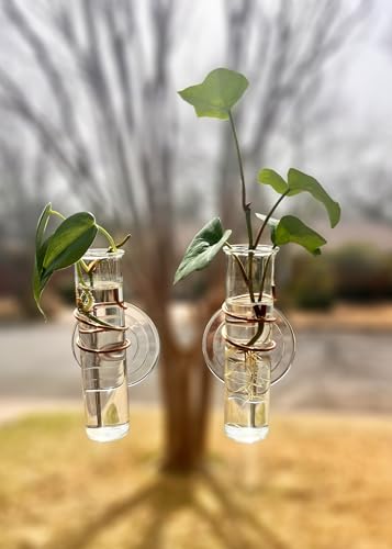 The Little Window Propagator (2 Count)