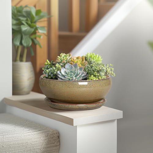 Succulent Pots (8 Inch / Speckled-brown)