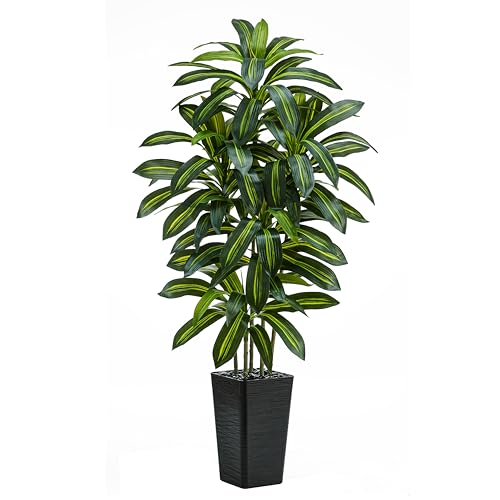 Artificial Dracaena Tree (Dark Green – Black Pot / 5FT)