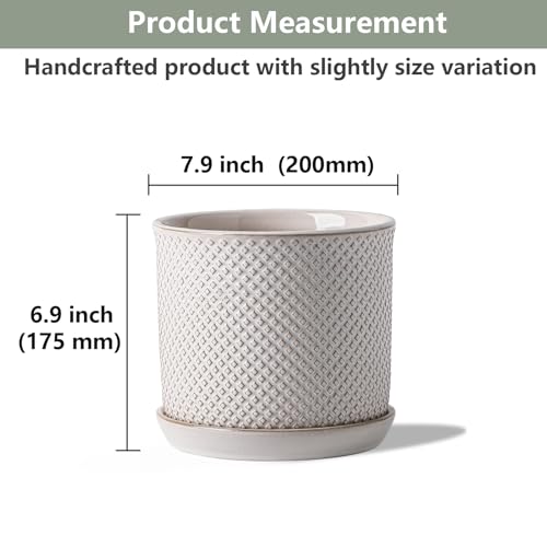 8 Inch Plant Pots