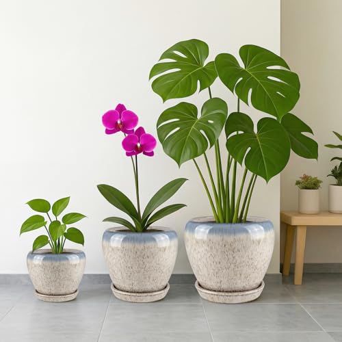 8 Inch Plant Pots (Beige&blue / 8 Inch)