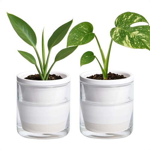 Self Watering White Terracotta Planter (2 Count)
