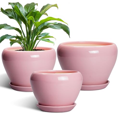 Ceramic Planters (10+8+6 Inch / Pink)