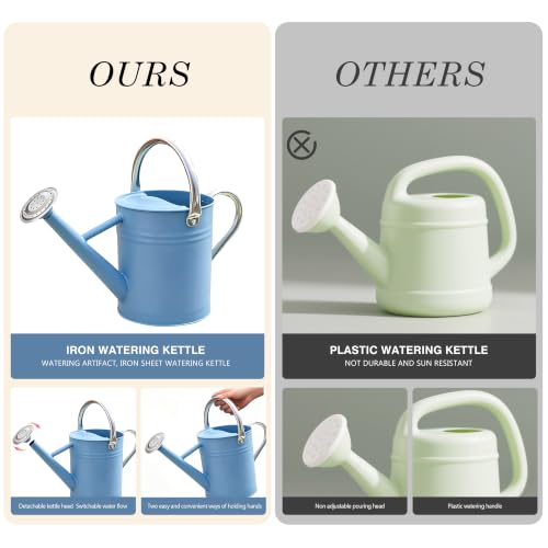 Metal Watering Can for Outdoor and Indoor Plants (Blue)