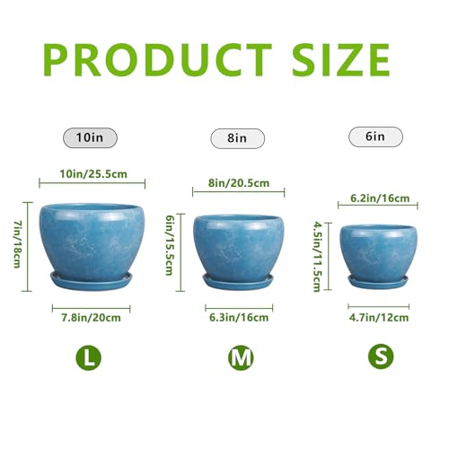 Ceramic Plant Pots (3 Count)