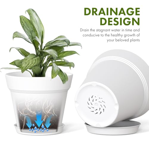 7 Inch Thick Plastic Plant Pots with Drainage Holes and Trays (6 Count)