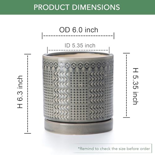 Indoor Outdoor Ceramic Plant Pots (6 inch / Gray)