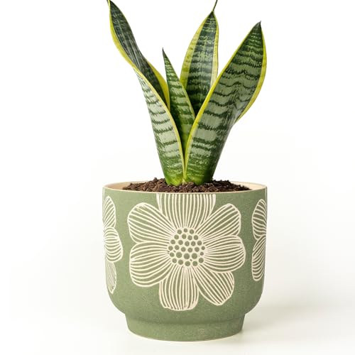 6 Inch Ceramic Plant Pots with Drainage Holes for Indoor Plants (6 Inch - 1 Pack / Modern Green Floral)