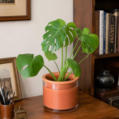 4 Inch 6 Inch Self Watering Plants Pots (4+6 Inch / Terracotta)