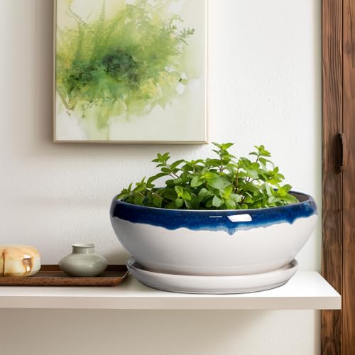Bonsai Tree Pots (12 Inch / Blue Off-white)
