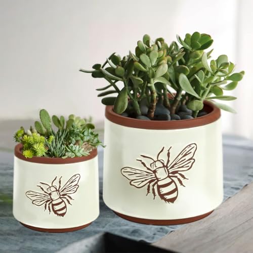 Terracotta Pots (6+4 Inch / White Bee)