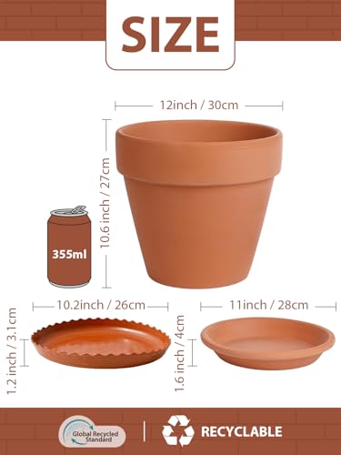12 Inch Terracotta Pot Set of 2 with Saucer (12/12 inch -2 pcs)
