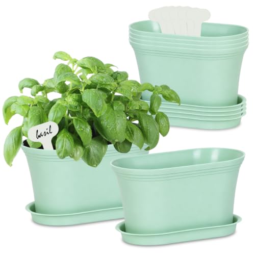 Set of 6 Windowsill Herb Garden Planters Green w (Green)