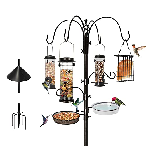 6 Hook Bird Feeding Station with Squirrel Baffle
