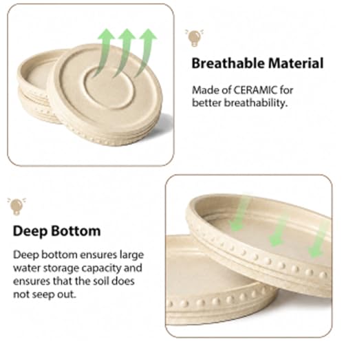 Plant Saucers (Beige White)