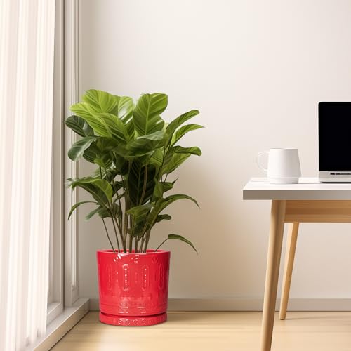 10 Inch Plant Pot (10 Inch / Red)