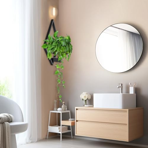 Wall Plant Holder