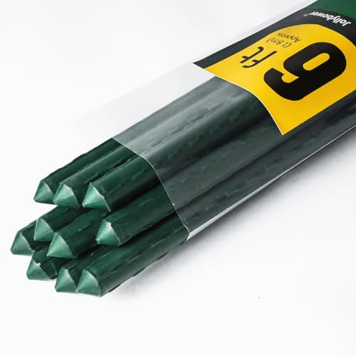10pcs Steel Plant Stakes 6 Feet (6Ft, Pack of 10)