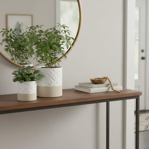 Self Watering Plant Pot for Indoor Plants (Matte White & Brown Star / 4.5"+6" Self Watering)