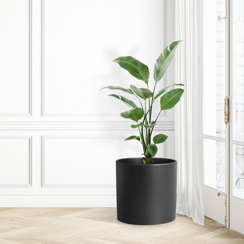 12 inch Large Deep Plant Pots for Outdoor Indoor Plants