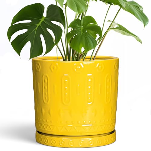Ceramic Pots for Plants (10 Inch / Yellow)