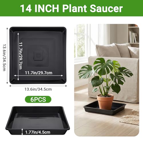 Black Square Plant Saucer (14" / Black)